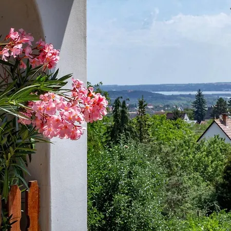 Leander Vendeghaz Pakozd
